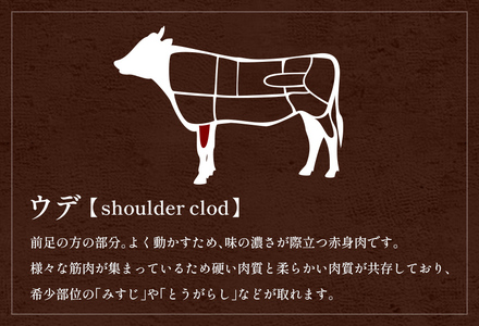 【和牛セレブ】【復興支援】能登牛 牛肩（ウデ） 焼肉400g 牛肉 最高級 黒毛和牛 和牛 肉汁
