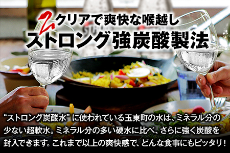 6か月定期便★強炭酸水6箱（計6回お届け 合計6ケース: 500ml×144本）《申込み翌月から発送》 定期便 あり ★強炭酸水★クリアで爽快な喉越し!くまもと風土の強炭酸水★ストロング炭酸水 定期便あり ハイボールなどお酒の割材にも ソーダ 送料無料 定期便あり熊本炭酸水