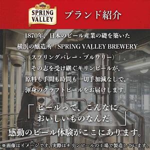 キリン SPRING VALLEY（スプリングバレー） 豊潤ラガー496　500ml　1ケース（24本入）【横浜工場製】 AFA0021
