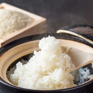 定期便 12回 福岡県産 米 夢つくし 精米5kg×12ケ月
