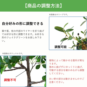 フェイクグリーン Botanical life+ Dシリーズ ウンベラータ 70cm 光触媒加工 鉢付き インテリア 抗菌 消臭 愛知県 豊橋市 送料無料 41000円