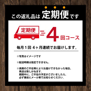 コーヒー 定期便 4回 タリーズコーヒー 390ml × 24本 計96本 無糖ブラック