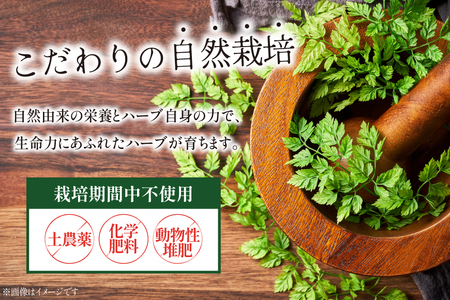 ハーブティー ティーバッグ ハーブティー 5種 飲み比べ セット [CONSE 青森県 おいらせ町 oi02ayo640002]