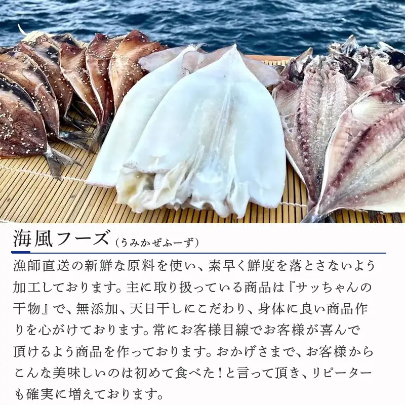 海から直送！剣先イカ一夜干し1袋2枚入り(200ｇ)×2袋 いか おつまみ 干物 酒の肴