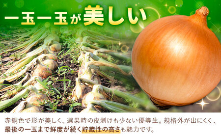 【先行予約】玉ねぎ たまねぎ 玉葱 選べる 約5kg サイズ混合《2026年10月上旬から11月中旬頃出荷》嶋崎農園 送料無料 北海道 本別町 北海道 十勝 本別町産 オニオン カレー サラダ スープ 野菜