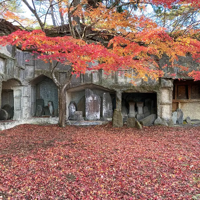 【松島町】地元ガイドが案内する世界で最も美しい湾の隠れた魅力と絶景を巡る2日間（ペアチケット） No.156