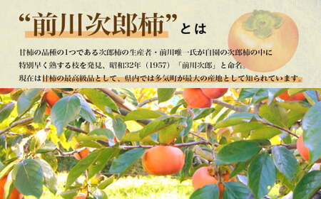 【令和8年産柿/先行予約】訳あり 5kg 多気町発祥 前川次郎 柿