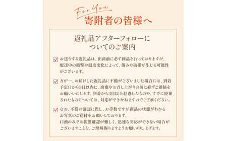 OD3x1 佐賀牛100％の贅沢ハンバーグ 150g×6個 手造り 佐賀牛 国産牛 和牛 ブランド牛 牛肉 肉  人気 おすすめ 佐賀県 太良町