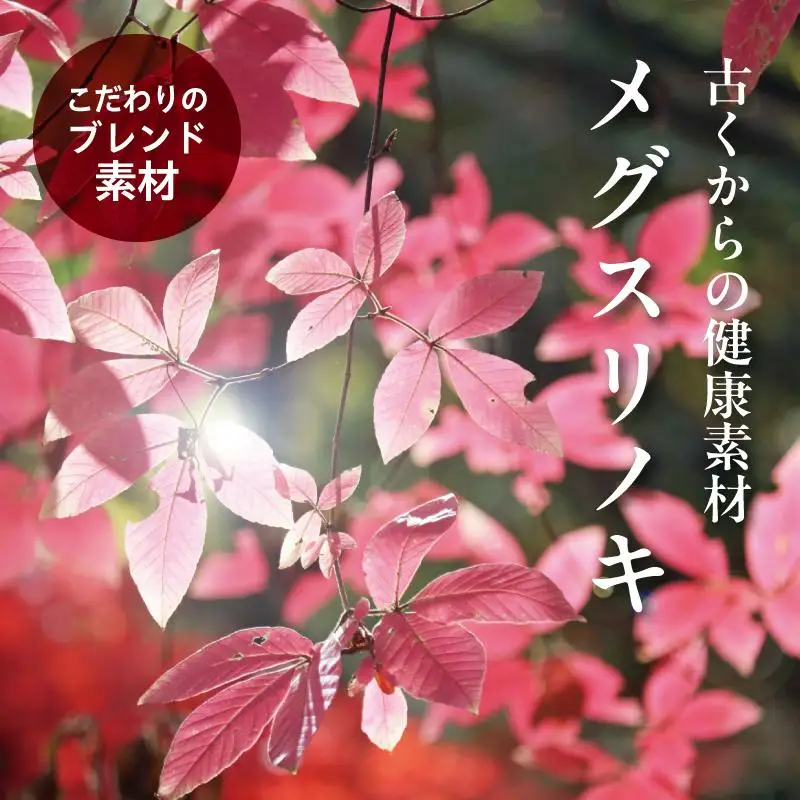 【わかさ生活】ブルーベリードライジン「Berry&Berry」700ml×1本 アルコール度数45度