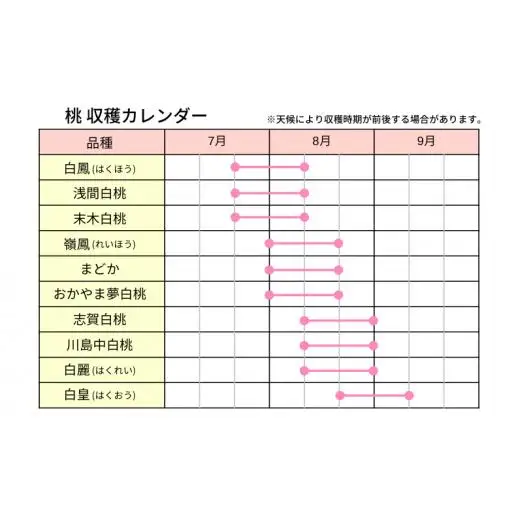 草間台の朝採れ白桃1箱 約2kg 6玉 【先行予約 7月下旬から発送】