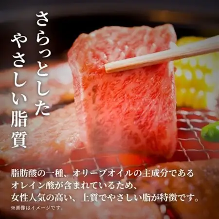 【和牛セレブ】能登牛 牛肩ロース 焼肉 500g_肉 焼肉 牛肉 やきにく ヤキニク バーベキュー_【配送不可地域：離島】【1556787】