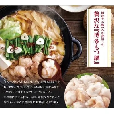 Z82-59 寄附額改定↓↓ やまや 博多もつ鍋食べ比べセット(醤油・味噌)各1～2人前 もつ鍋