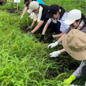 足柄ふれあい公園 体験農園 みんなの畑・おやま協賛プラン	