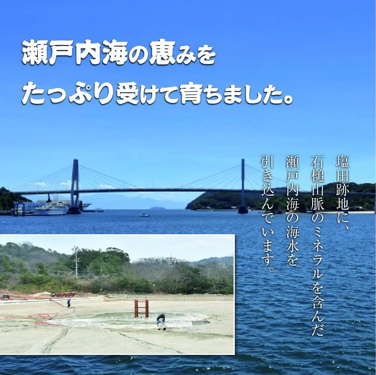 車海老 急速冷凍 活きな 車えび【無頭8～10尾(約140g)×2袋セット】【配送不可地域：離島】