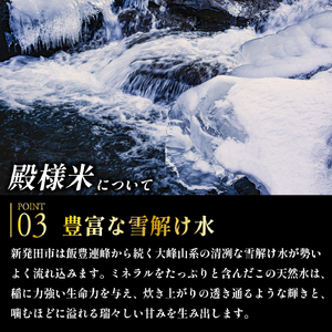 【定期便】令和7年産 コシヒカリ 殿様米 10㎏×6ヵ月 新潟県 新潟産 新発田産 米  玄米 コシヒカリ 特別栽培米 越後菅谷米販売 10kg 6ヵ月 60kg 定期便 殿様 数量限定 D17_02