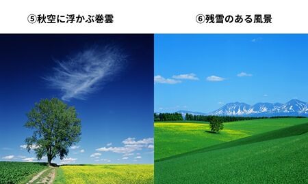 写真家　阿部俊一　額付き写真 [036-35]