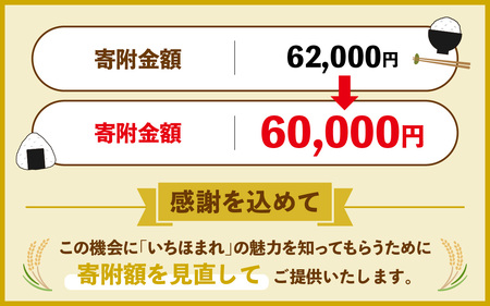 【無洗米】令和7年産 福井県産いちほまれ 5kg 3袋 [E-014010] 無洗米