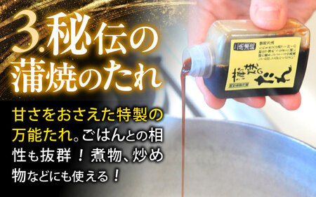 【3回定期便】【諫早淡水】うなぎまるごとセット / うなぎ 蒲焼 白焼き たれ 肝 / 諫早市 / 諫早淡水株式会社 [AHAT015]