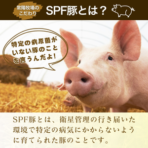 豚ロース SPF豚  焼肉用 2kg | 豚ロース 豚ロース 豚ロース 豚ロース 豚ロース 豚ロース