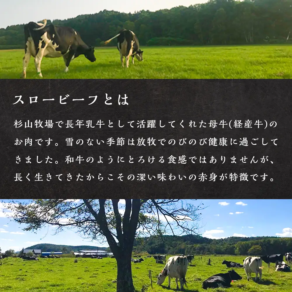 AZ024 放牧牛 スロービーフ トライプジャーキー(犬用) 180g(30g×6) 杉山牧場