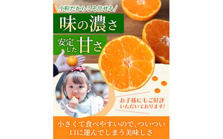 温州みかん 「小粒っこ」 4g (極早生・早生・中生・晩稲)【2S～3Sサイズおまかせ】【2026年10月中旬～2027年2月下旬までに順次発送】＜味好農園＞/温州 みかん 小玉 蜜柑 柑橘 みかん 極早生 早生 中生 晩稲 小粒 果物 フルーツ 【agy004-s-4】