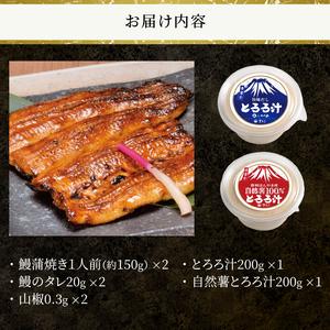 鰻 蒲焼き 活〆 炭火焼 2人前 大ぶり 通常の1.3倍サイズ 肉厚 ふっくら ジューシー 秘伝のたれ付き とろろ汁 1個 自然薯100％とろろ汁 1個 すりたてののど越し 2種 スタミナ セット おかず 冷凍 魚 富士市 [sf095-003]