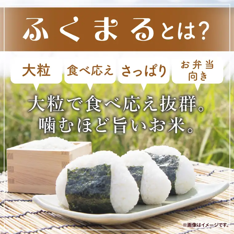 【人気2銘柄食べ比べ】令和7年産 茨城県産 あきたこまち・ふくまる　5kg×各1袋（計10kg）【お米 米 コメ こめ たべくらべ 】(AL273)