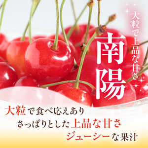  [先行受付] さくらんぼ 南陽 2Lサイズ 以上 300g（300g×1パック） 化粧箱入   サクランボ チェリー フルーツ 果物 果物類 ギフト 贈答品 北海道 仁木町 仁木 [小林信幸]