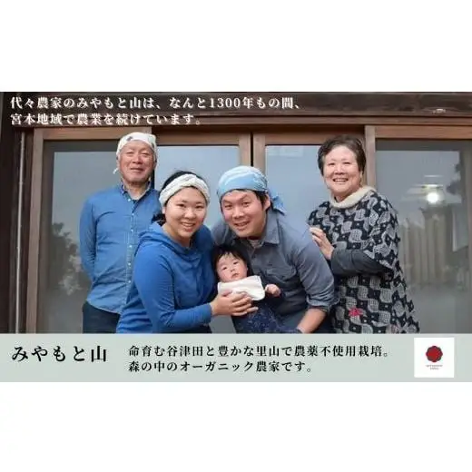（2026年1～6月発送）農薬を使わずに作った玄米100％の玄米餅　12パック ／ 餅 もち モチお餅 おもち 玄米 玄米餅 玄米もち 切り餅 みやもと山 千葉県 匝瑳市 送料無料