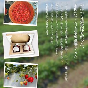 いちご 越後姫 ジャム 190g×2個 からだよろこぶ越後姫 イチゴ 苺 定植後化学農薬不使用 渡辺農園 上越市 新潟県