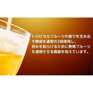 【クラフトビール】Vent ambre（ヴェントアンブル)　琥珀色の風/コーヒーテイストクラフトビール　330ml×3本