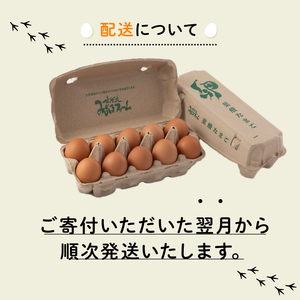 京都 こだわり卵 葉酸たまご 約160個 （割れ保証20個含む） 10kg 