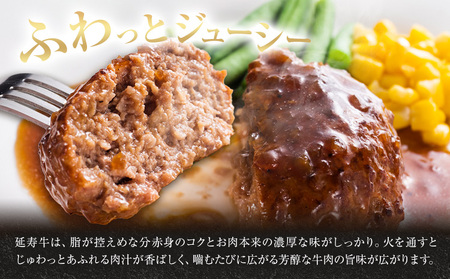 熊本県産 延寿牛 あか牛 ハンバーグ 約150g×10個 合計約1.5kg 株式会社原田畜産《30日以内に出荷予定(土日祝除く)》小分け 個包装 お肉 和牛 ハンバーグ 焼くだけ 熊本県産 九州産 国産 冷凍 送料無料