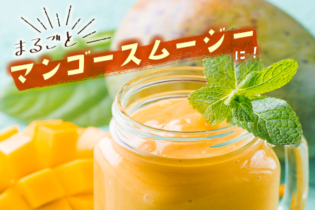 ＜数量限定＞宮崎県産 完熟マンゴー3L×2玉（計900g以上）※2026年4月下旬配送開始 化粧箱入 フルーツ くだもの【C356-26】