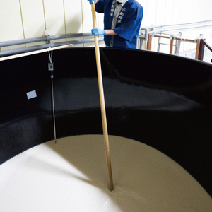 【茨城県共通返礼品/水戸市】副将軍 大吟醸【日本酒 SAKE 山田錦 フルーティ ゴールドメダル 受賞】(CO102)