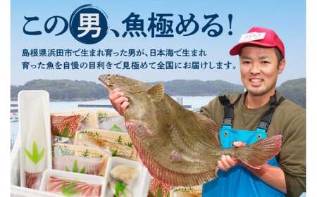 【定期便】どんちっち浜田【至高】の鮮魚 10回～最高級この男シリーズ～ 【006_2052】