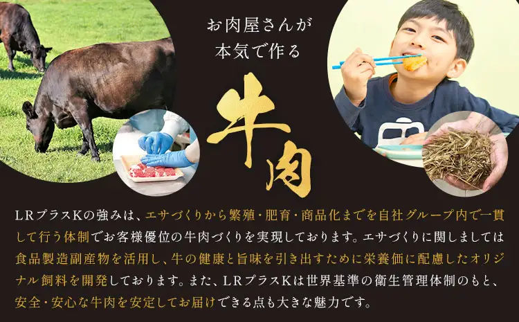 肉 牛肉 鹿児島県産 黒毛和牛 ヒレステーキ 2種盛り ステーキ サイコロ 240g A5等級 LRプラスK 《90日以内に出荷予定(土日祝除く)》 A5 鹿児島県 さつま町