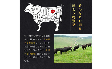 肉 牛肉 鹿児島県産 黒毛和牛 ヒレステーキ 2種盛り ステーキ サイコロ 660g LRプラスK 《90日以内に出荷予定(土日祝除く)》鹿児島県 さつま町
