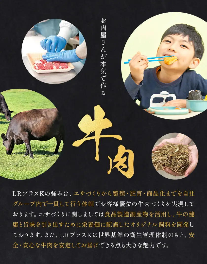 鹿児島県産黒毛和牛切落し250ｇ×3パック LRプラスK 《90日以内に出荷予定(土日祝除く) 》 鹿児島県産 A5 黒毛和牛 和牛 切落し 250ｇ×3パック 計750g