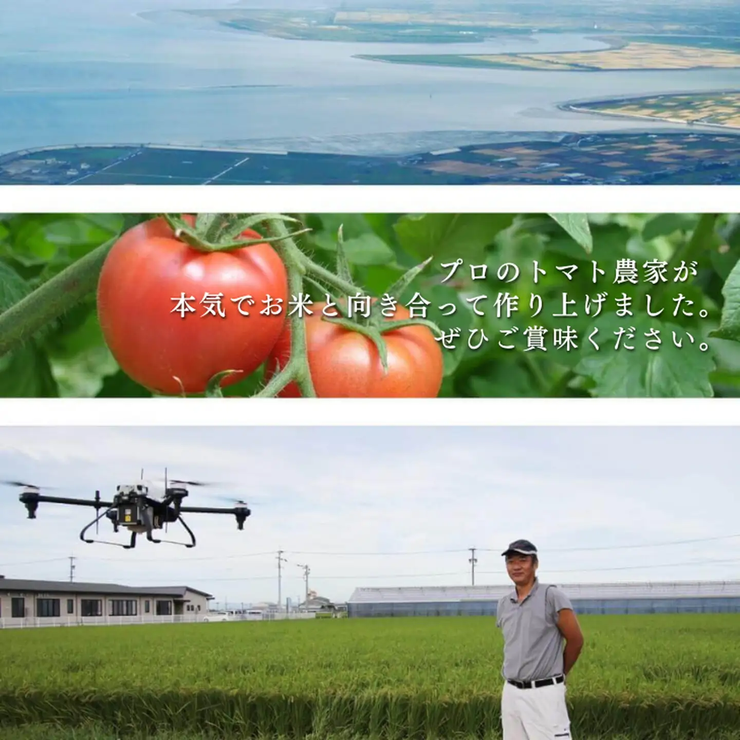 令和7年産 トマト酢を使って育てた「つや姫」 玄米10kg：B365-007