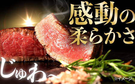 【全12回定期便】極上 シャトーブリアン 長崎和牛 出島ばらいろ 毎月計400g以上（約200g×2枚）【肉のマルシン】 ステーキ ヒレ ヒレステーキ ヒレ肉 フィレ[FG47]