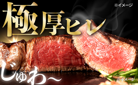 【全3回定期便】極厚ヒレステーキ 長崎和牛 計400g以上（約200g×2枚）【肉のマルシン】[FG49] ステーキ定期便ステーキ定期便ステーキ定期便ステーキ定期便