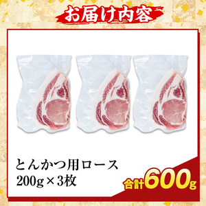 K-373-A かごしま味わい黒豚 とんかつ用ロース肉・トロかつ(計600g)【ふるさと産直バザール】霧島市 ロース トンカツ 豚カツ トンテキ 豚肉 国産 鹿児島県産 肉 精肉 小分け