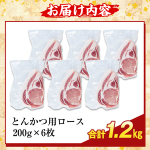 K-373-B かごしま味わい黒豚 とんかつ用ロース肉・トロかつ(計1.2kg)【ふるさと産直バザール】霧島市 ロース トンカツ 豚カツ トンテキ 豚肉 国産 鹿児島県産 肉 精肉 小分け