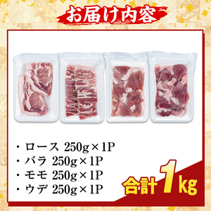 K-379-A 鹿児島県産霜降りトロ豚 焼肉用バラエティセット(合計1kg)【ふるさと産直バザール】霧島市 ロース バラ ウデ モモ 焼き肉 ヤキニク 豚肉 国産 鹿児島県産 肉 精肉 小分け セット 食べ比べ