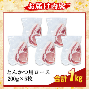 K-382-B 鹿児島県産霜降りトロ豚 ロースとんかつ用(計1kg)【ふるさと産直バザール】霧島市 肩ロース 豚カツ トンカツ 豚肉 国産 鹿児島県産 肉 精肉 小分け