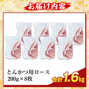 K-382-C 鹿児島県産霜降りトロ豚 ロースとんかつ用(計1.6kg)【ふるさと産直バザール】霧島市 肩ロース 豚カツ トンカツ 豚肉 国産 鹿児島県産 肉 精肉 小分け