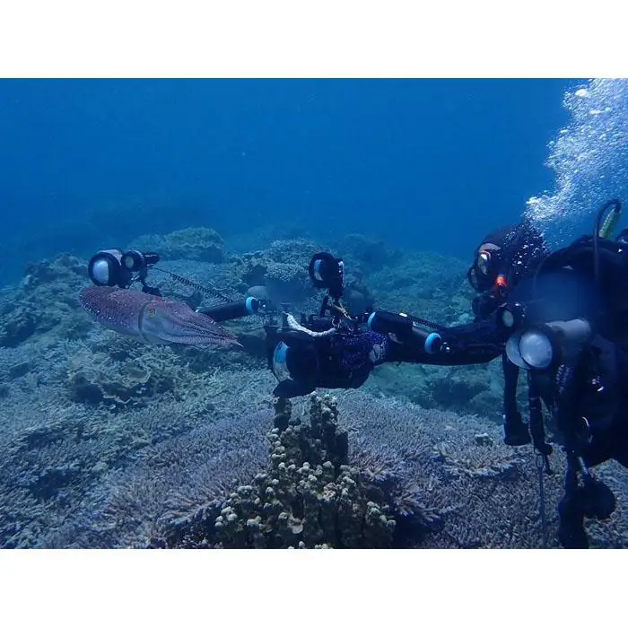 透明度抜群！　奄美大島でボートダイビング（２ボート）