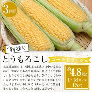 【先行予約】旬の野菜・フルーツ定期便A 3ヶ月(アスパラ・メロン・とうもろこし) (2026年5月下旬より順次発送開始) | 定期便 北海道_04539