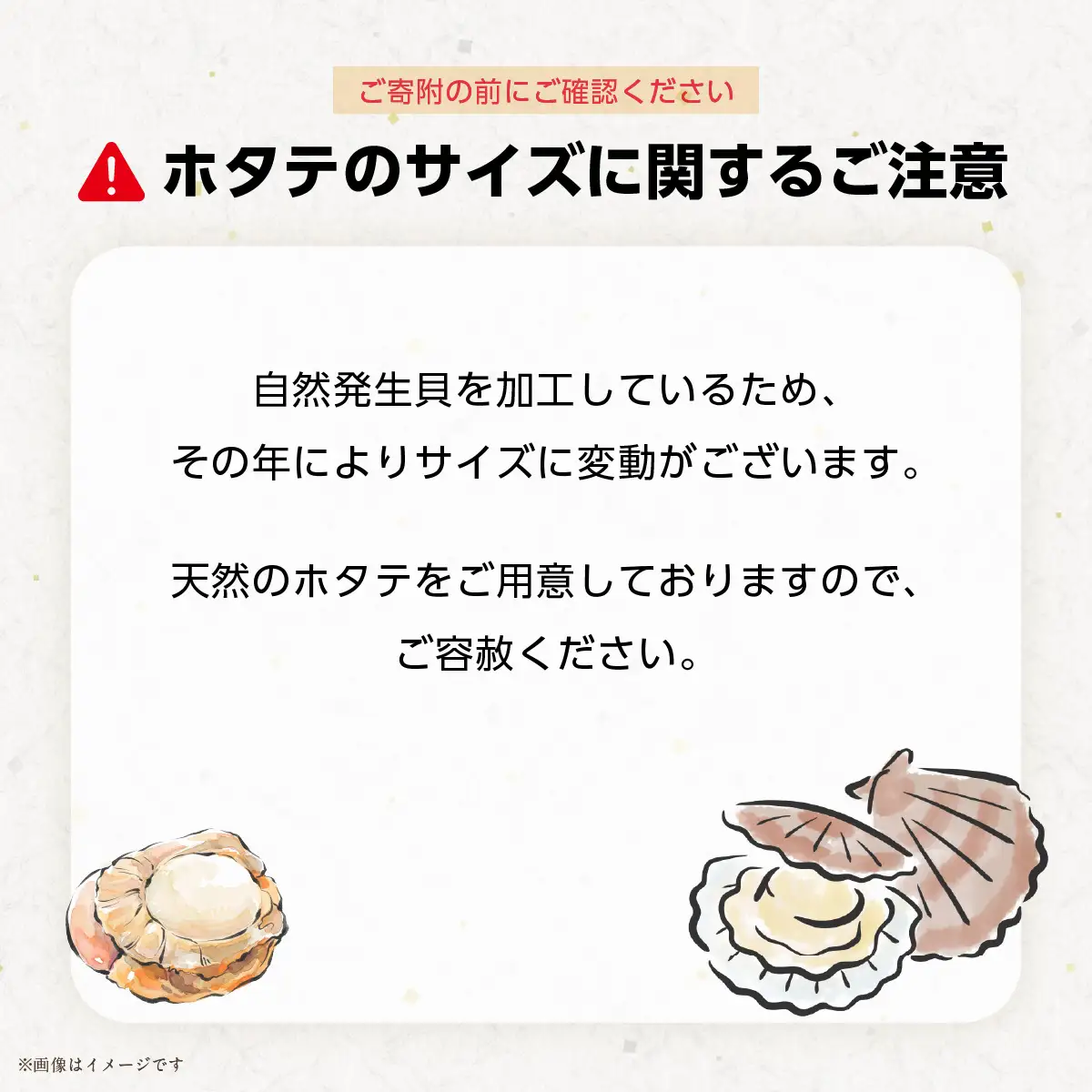 冷凍生剥きほたて 1kg（500g×2） ABAE009 | ほたて